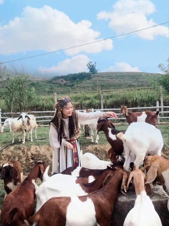 O Chau Homestay Lào Cai Exterior foto