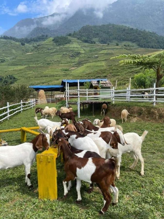 O Chau Homestay Lào Cai Exterior foto